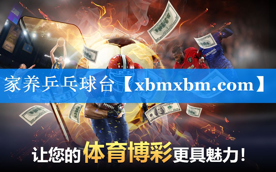 家养乒乓球台