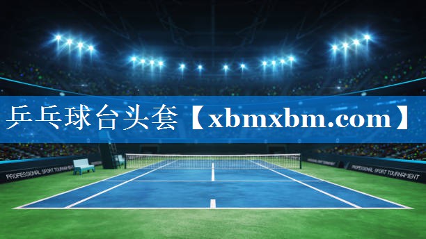 乒乓球台头套