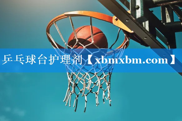 乒乓球台护理剂