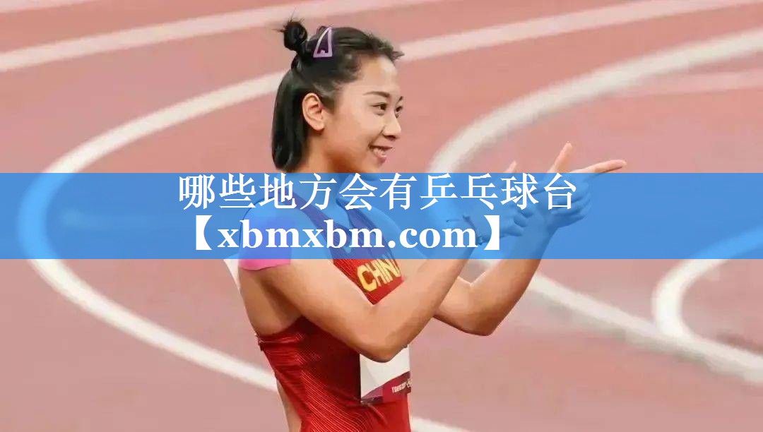 哪些地方会有乒乓球台