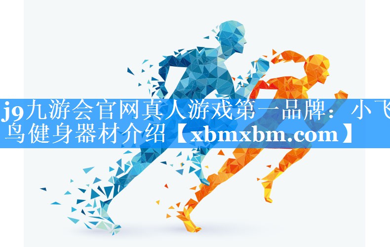 小飞鸟健身器材介绍