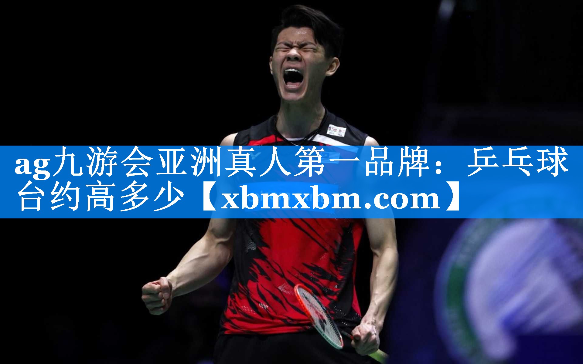 乒乓球台约高多少