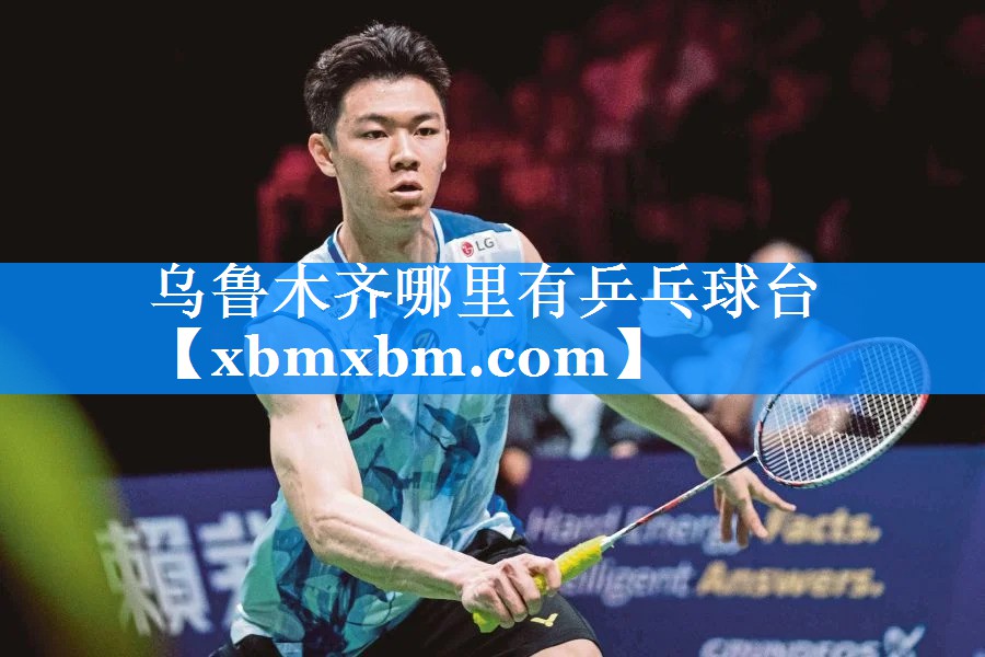 乌鲁木齐哪里有乒乓球台