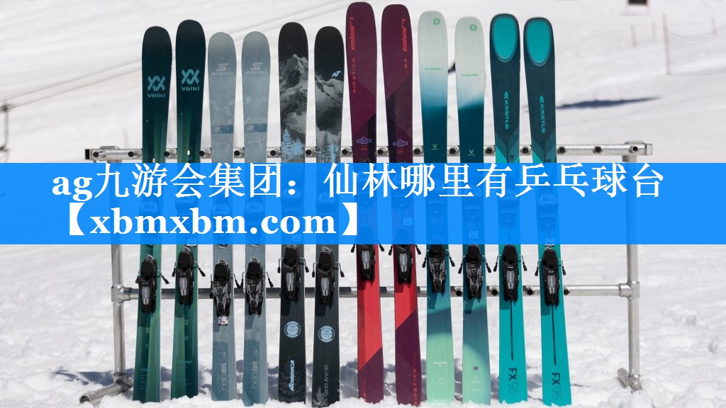 仙林哪里有乒乓球台