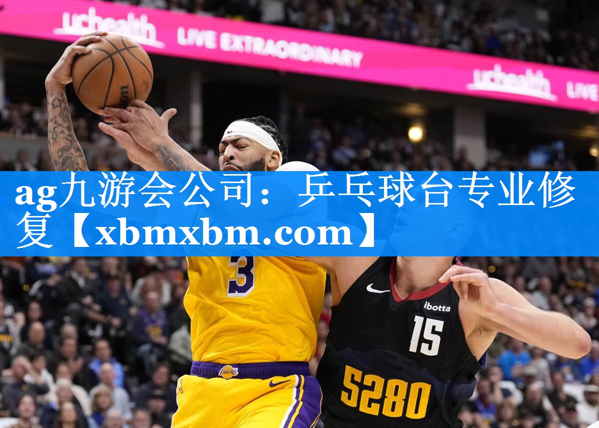 乒乓球台专业修复