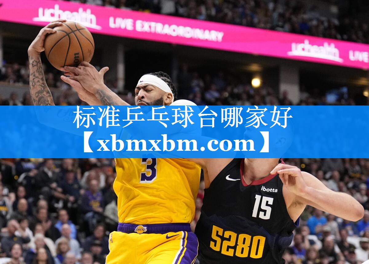 标准乒乓球台哪家好
