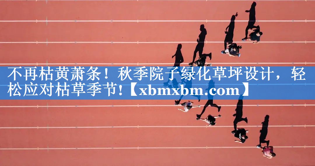 不再枯黄萧条！秋季院子绿化草坪设计，轻松应对枯草季节!