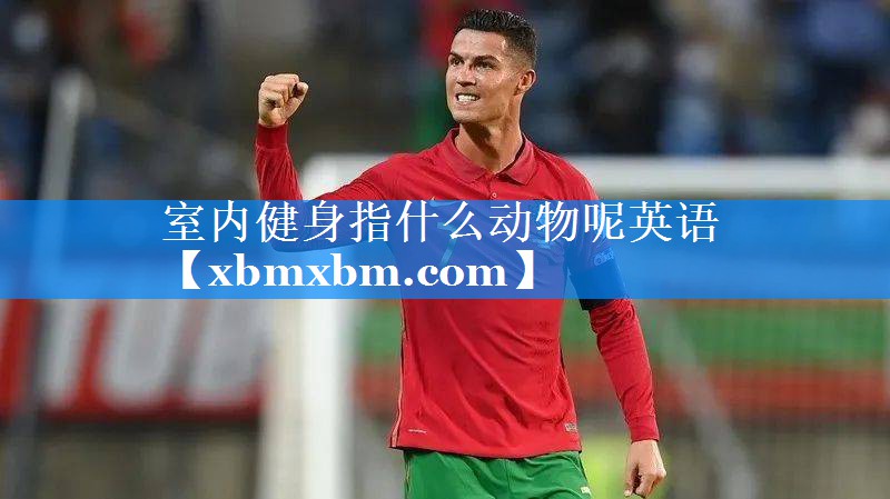 室内健身指什么动物呢英语