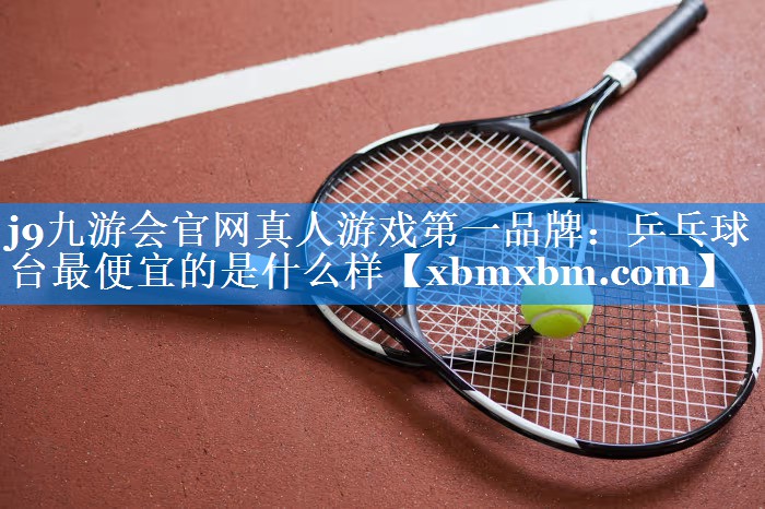乒乓球台最便宜的是什么样