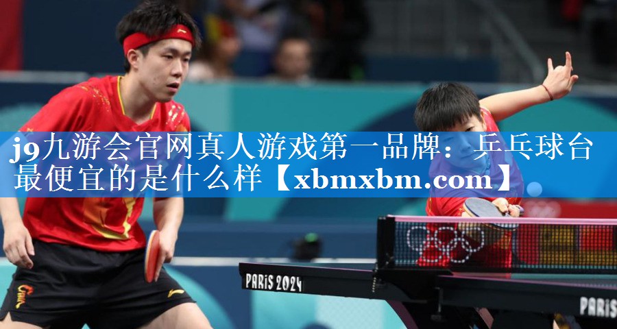 乒乓球台最便宜的是什么样